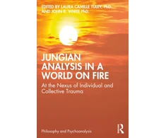 KNYGA Bookshop Jungian Analysis in a World on Fire