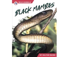 KNYGA Dalton Rains Juodas Mambas