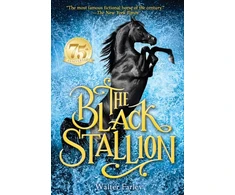 KNYGA Bookshop Juodas Stallion