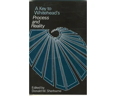 KNYGA Bookshop Key to Whitehead's Process and Reality