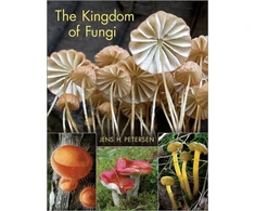 KNYGA Bookshop Kingdom of Fungi