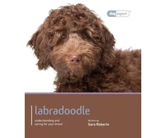KNYGA Bookshop Labradoodle - Dog Expert