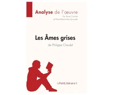 KNYGA Bookshop Les Ames grises de Philippe Claudel (Analyse de l'oeuvre)