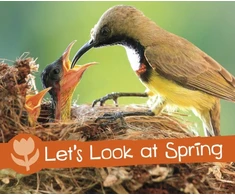 KNYGA Bookshop Let's Look at Spring