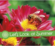 KNYGA Bookshop Let's Look at Summer