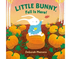 KNYGA Bookshop Little Bunny, Fall Is Here!