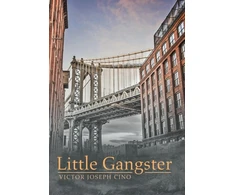 KNYGA Bookshop Little Gangster