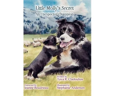 KNYGA Bookshop Little Molly's Secret