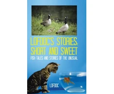 KNYGA Bookshop Lofdoc's Stories