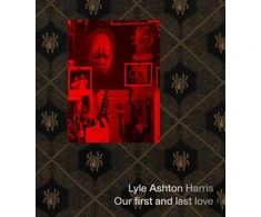 KNYGA Bookshop Lyle Ashton Harris: Our first and last love