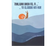 KNYGA Bookshop Malwan Bach Fel Fi ... yn Cloddio am Aur