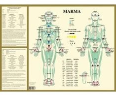 KNYGA Bookshop Marma -- A2 Poster