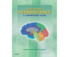 KNYGA Bookshop Mastering Neuroscience