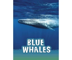 KNYGA Bookshop Mėlyna Whales