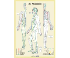 KNYGA Bookshop Meridians -- A2