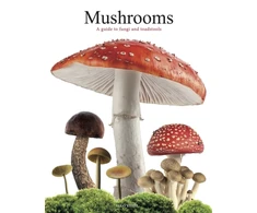 KNYGA Bookshop Mushrooms
