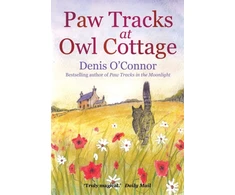 KNYGA Bookshop Paw Tracks at Owl Cottage