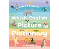 KNYGA Bookshop Pawb a Phopeth - Welsh / English Picture Dictionary