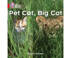 KNYGA Bookshop Pet Cat, Big Cat