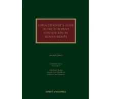KNYGA Bookshop Practitioner's Guide to the European Convention on Human Rights