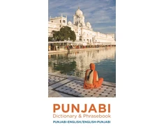 KNYGA Bookshop Punjabi-English/English-Punjabi Dictionary &amp; Phrasebook