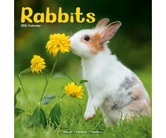 KNYGA Bookshop Rabbits Calendar 2026 Square Animal Wall Calendar - 16 Month