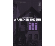 KNYGA Bookshop Raisin In The Sun