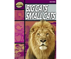 KNYGA Bookshop Rapid Reading: Big Cats Small Cats (Stage 1, Level 1A)