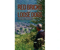 KNYGA Bookshop Raudona Bricks and Loose Dogs