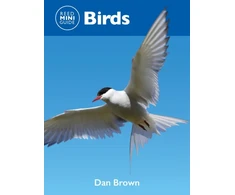 KNYGA Bookshop Reed Mini Guide: Birds
