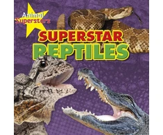 KNYGA Bookshop Reptile Superstars