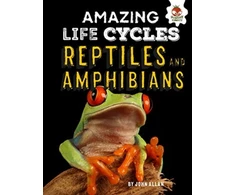 KNYGA Bookshop Reptiles and Amphibians - Amazing Life Cycles
