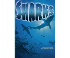 KNYGA Bookshop Sharks
