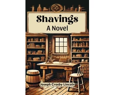 KNYGA Bookshop ShavingsA Novel (Edition2024)