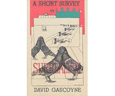 KNYGA Bookshop Short Survey of Surrealism