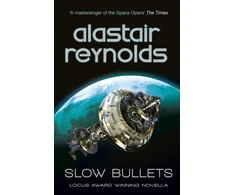 KNYGA Bookshop Slow Bullets