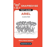 KNYGA Bookshop SnapRevise Ariel Text Guide for English Literature