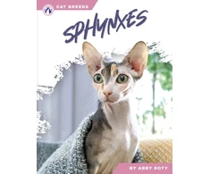 KNYGA Bookshop Sphynxes
