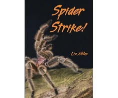 KNYGA Bookshop Spider Strike!