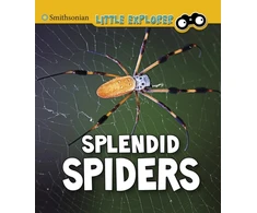 KNYGA Bookshop Splendid Spiders