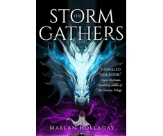 KNYGA Bookshop Storm Gathers