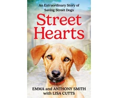 KNYGA Bookshop Street Hearts