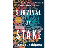 KNYGA Bookshop Survival at Stake