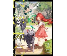KNYGA Bookshop Tale of the Secret Saint ZERO (Light Novel) Vol. 3