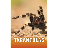KNYGA Bookshop Tarantulas
