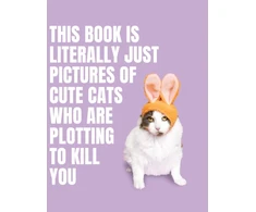 KNYGA Bookshop This Book is Literally Just Pictures of Cute Cats Who Are Plotting to Kill You