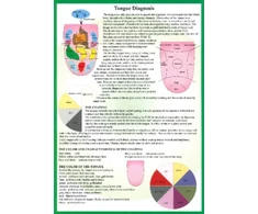 KNYGA Jan Van Baarle Tongue Diagnosis -- A4