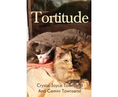 KNYGA Bookshop Tortitude