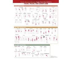KNYGA Bookshop Travell, Simons &amp; Simons’ Trigger Point Pain Patterns Wall Chart