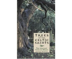 KNYGA Bookshop Trees of the Celtic Saints ? The Ancient Yews of Wales